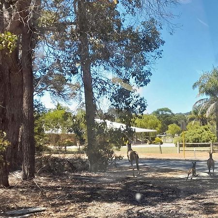 101 Oatlands Motel Mount Barker Luaran gambar